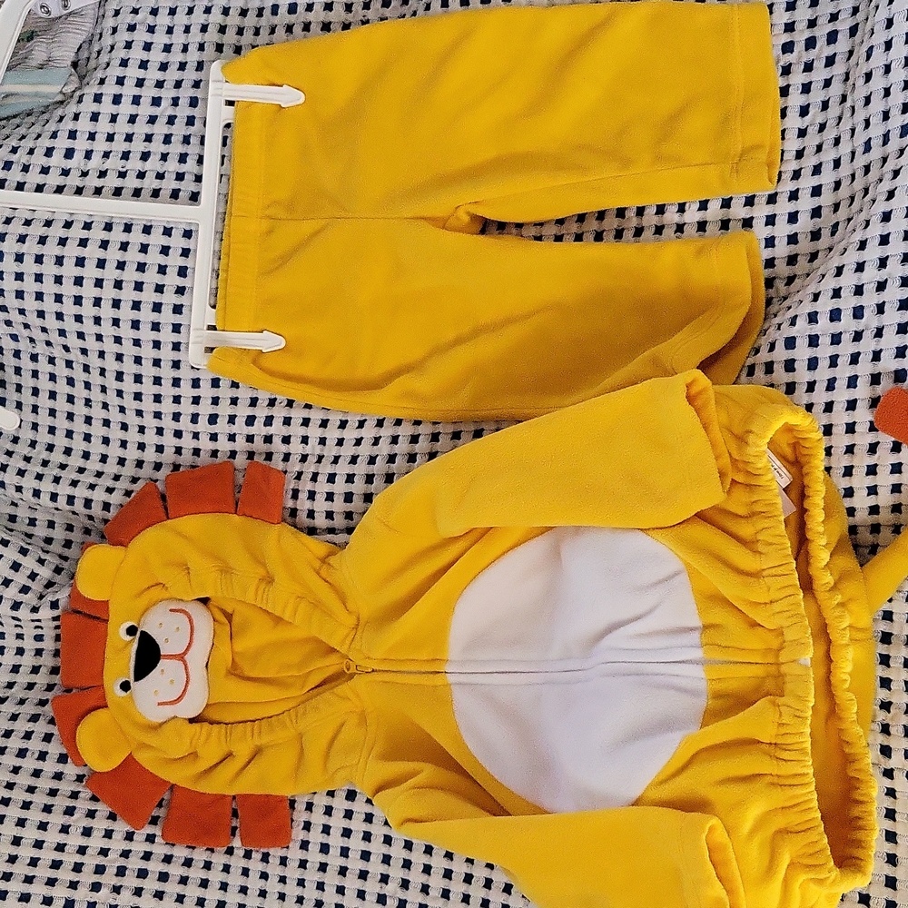 Lion Costume